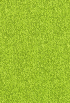 Grass Fresh Green